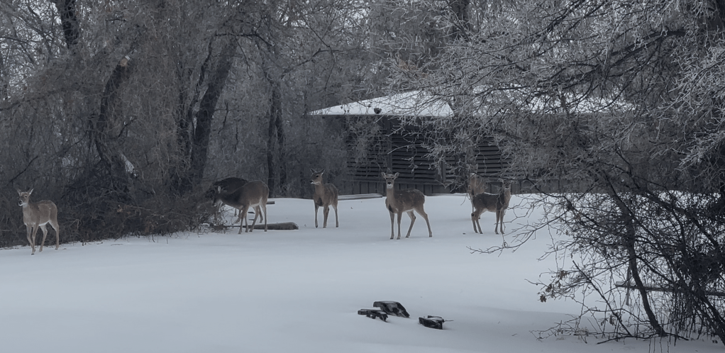 2026 Winter Field Day – The High Lonesome